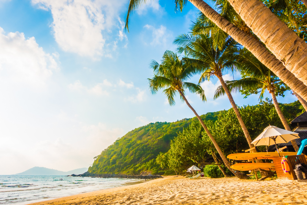 Honeymoon Package